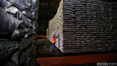 Ironi Beras Bulog di Tengah Isu Impor dari Pemerintah