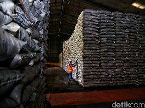 Ironi Beras Bulog di Tengah Isu Impor dari Pemerintah