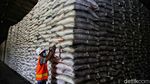 Ironi Beras Bulog di Tengah Isu Impor dari Pemerintah