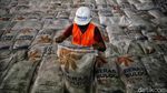 Ironi Beras Bulog di Tengah Isu Impor dari Pemerintah
