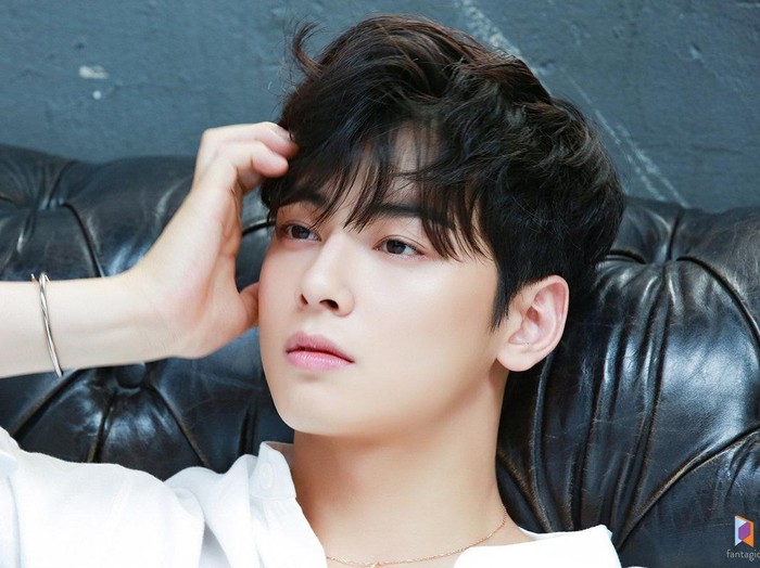 pemain True Beauty, Cha Eun Woo pemain True Beauty