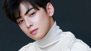 На ин у биография. Cha Eun Woo. Актер Чха Ын у. Чха Ын у 2021. Чха Ын у айдол.