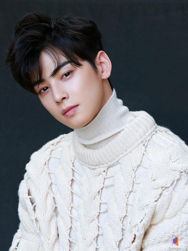 pemain True Beauty, Cha Eun Woo pemain True Beauty