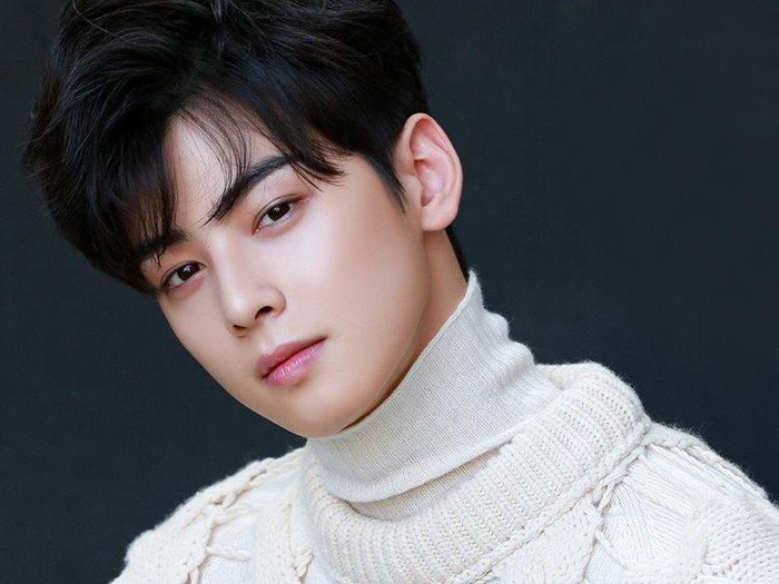 7 Fakta Menarik Cha Eun Woo, Casting di Depan Toilet hingga Bucinin Artis