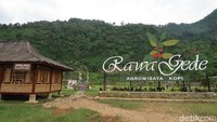 Dibuat jadi agrowisata kopi, kurang lengkap kalau belum mencoba kopi asli Rawa Gede. (Bonauli/detikcom)