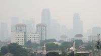 Foto ini diambil pada kecepatan rana 1/320, F 11 sampai F 13, ISO 250, dan white balance shade (Foto: Andhika Prasetia/detikcom)