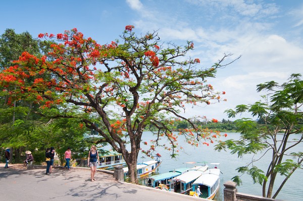 Dari hulu, Sungai Parfum melewati desa-desa hijau dan memiliki tanaman aromatik. (Getty Images/iStockphoto) Dari hulu, Sungai Parfum melewati desa-desa hijau dan memiliki tanaman aromatik. (Getty Images/iStockphoto)