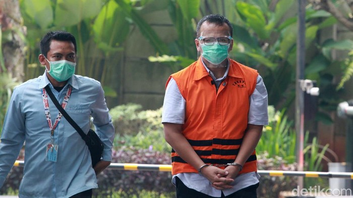 Mantan Menteri KKP, Edhy Prabowo kembali diperiksa kasus suap terkait perizinan ekspor benih lobster. Edhy tampak memakai rompi tahanan dengan tangan diborgol.