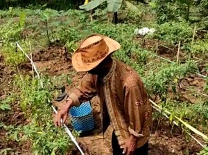Kades di Bekasi Ungkap Manfaat Kampung Tangguh untuk Hasil Kebun