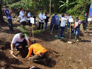 2.151 Hektare Lahan di Jabar-Banten Kritis, Ini Langkah PTPN VIII