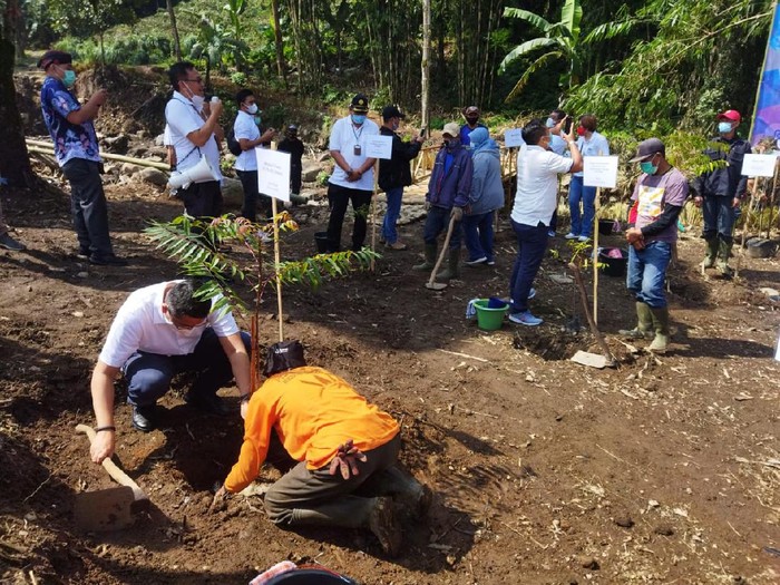 2.151 lahan milik PTPN VIII masuk kategori kritis