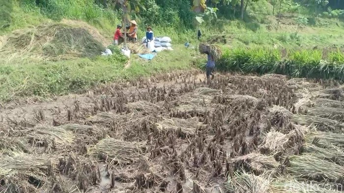 banjir di magetan
