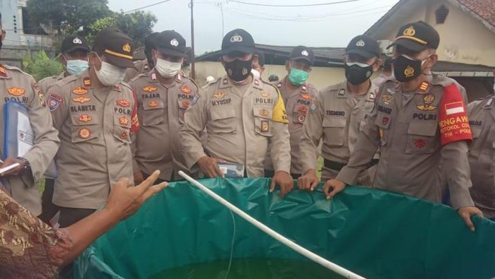 Bhabinkamtibmas diajari bagaimana cara budidaya lele di SPN Polda Metro Jaya.