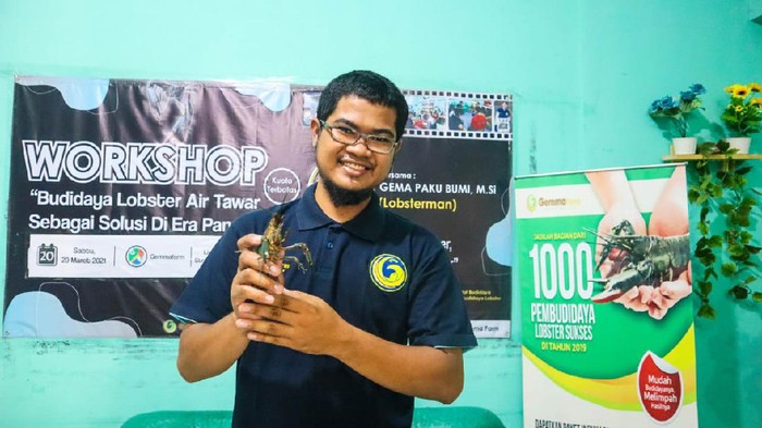 Lobster jadi salah satu hasil laut andalan di Pulau Simeulue, Aceh. Harga jual yang cukup menggiurkan membuat warga membuka penangkaran untuk berternak lobster.