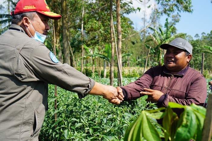 Direktur Jenderal Hortikultura Prihasto Setyanto