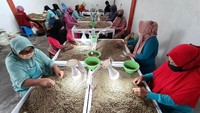 Pemerintah daerah pun tidak berpangku tangan. Berbagai upaya terus dilakukan untuk memberikan semangat dan dukungan terhadap para petani di dataran tinggi Gayo. Salah satunya dengan meningkatkan promosi.  