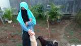 Ikhtiar Wanita Bercadar Ditolak Warga tapi Tetap Rawat Anjing Telantar