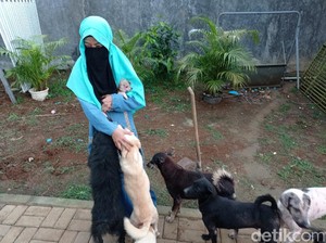 Ikhtiar Wanita Bercadar Ditolak Warga tapi Tetap Rawat Anjing Telantar