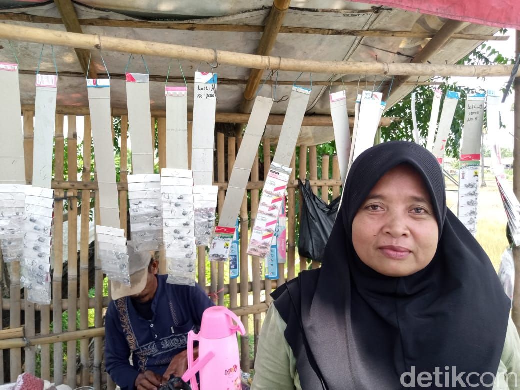 Ibu Naimi, warga yang berharap Jl Raya Tanjung Burung di Kabupaten Tangerang. (Kadek M Luxiana/detikcom)
