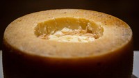 Pada tahun 2009, Casu Marzu dinobatkan sebagai keju paling berbahaya di dunia. (Disgusting Food Museum)