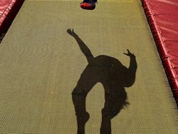 Karya Jawara Kontes Foto Ponsel MPA Ke-10 Didominasi iPhone