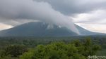 Bekol Tower, Tempat Sempurna untuk Nikmati Taman Nasional Baluran