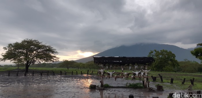 Menara Bekol di Taman Nasional Baluran