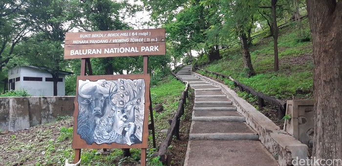 Menara Bekol di Taman Nasional Baluran