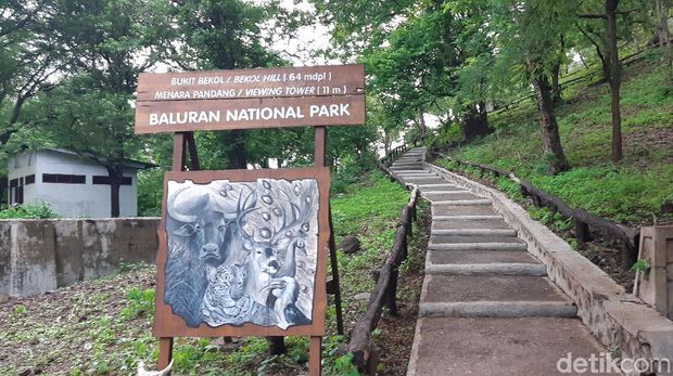 Menara Bekol di Taman Nasional Baluran