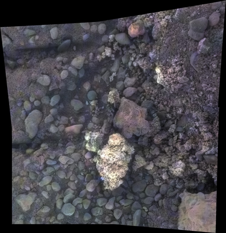 Planet Mars Private Joseph Field