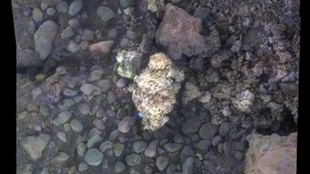 Private Joseph Field Foto: NASA/JPL-Caltech/Cornell/USGS/ASU