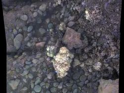 Foto-foto Terbaik Planet Mars Jepretan NASA