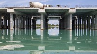 Tol Indralaya-Prabumulih ini akan terbagi menjadi enam zona dengan panjang trase berbeda.   