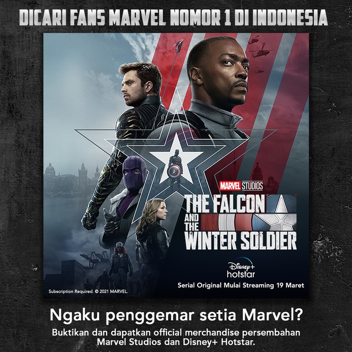 The Falcon and The Winter Soldier