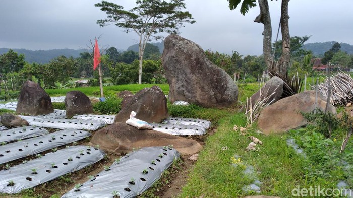 Batu-batu menhir tampak berdiri dan tersebar di lahan padi di Karanganyar, Kamis (18/3/2021).