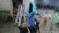 Nunung mengaku tidak setuju dengan keberadaan anjing-anjing yang ditampung Hesti ini. Dia menilai anjing itu haram dipelihara bagi umat Islam.