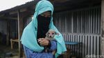 Melihat Lebih dekat Hesti Wanita Bercadar dan Puluhan Anjingnya