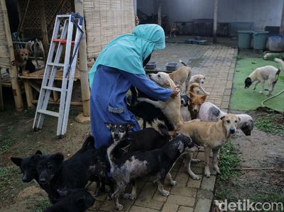Melihat Lebih dekat Hesti Wanita Bercadar dan Puluhan Anjingnya