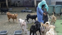 Salah seorang warga RT 3/6, Kampung Kepala Doyong, Tenjolaya, Kabupaten Bogor, Nunung Nurhasanah (37), mengaku merasa terganggu oleh suara anjing-anjing Hesti. Nunung mengatakan suara anjing-anjing ini sering kali terdengar sampai ke rumahnya.
