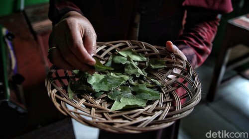 Di Indonesia ada banyak jenis teh yang terkenal akan kenikmatannya. Tidak hanya teh hijau dan teh hitam, Indonesia juga memiliki jenis teh dari daun jambu air. Seperti yang dilakukan oleh warga Desa Lempuyang, Kecamatan Wonosalam, Demak.
