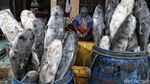 Melihat Sentra Pengolahan Ikan Asap Khas Demak