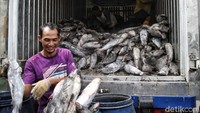 Program Jelajah UMKM mengulas berbagai aspek kehidupan warga dan membaca potensi di daerah. Untuk mengetahui informasi lebih lengkap kunjungi detik.com/tag/jelajahumkmbri.