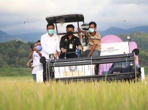 Mentan Cek Panen Padi di Barru, Sebut Stok Aman hingga Agustus