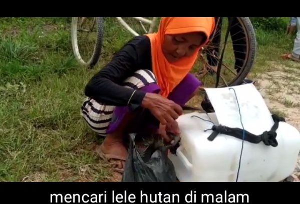 Salut! Nenek 68 Tahun Bertahan Hidup dengan Jualan Lele Keliling Kampung