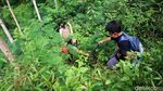 Serunya Belajar Mengenal Alam di Pegunungan Menoreh