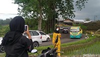 Kepala Desa Sikasur, Kusni, mengatakan sepasang pohon randu tersebut terbilang langka jika dilihat dari ukurannya. 