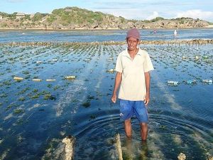 Nelayan-Petani NTT Tak Kunjung Dapat Ganti Rugi Tumpahan Minyak Montara