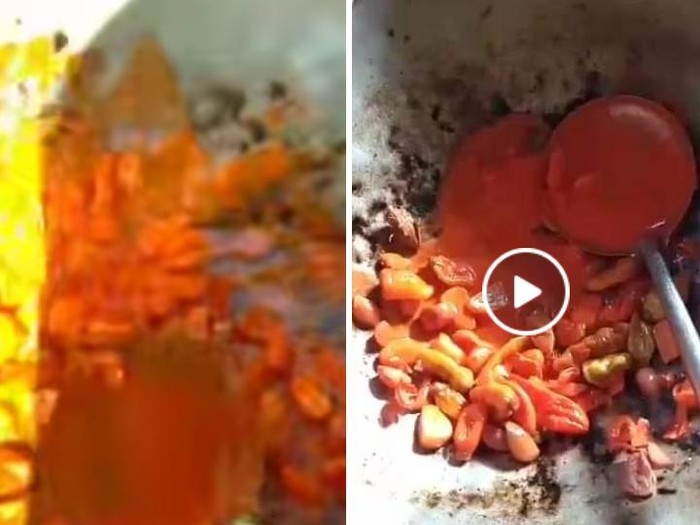 viral lombok dicat