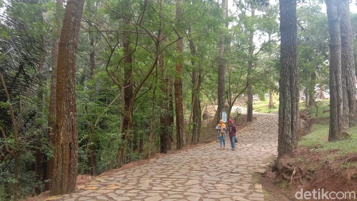 Wana wisata Pijar Park yang terletak di lereng Muria, Desa Kajar Kecamatan Dawe, Kudus, Sabtu (20/2/2021)