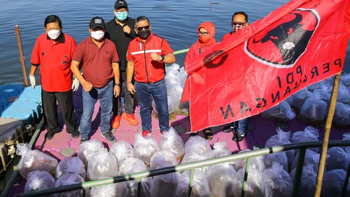 Aksi Tebar Ikan di Waduk Rawa Lindung Aksi menebar ikan dilakukan Sekjen PDIP di Hasto Kristiyanto Waduk Rawa Lindung Pesanggrahan, Jakarta, Minggu (21/3). Mereka juga menanam pohon di sekitar waduk.
